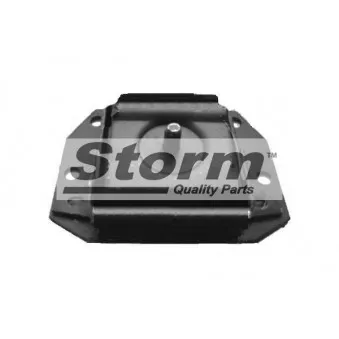 Suspension, boîte de vitesse manuelle Storm OEM 7700501493