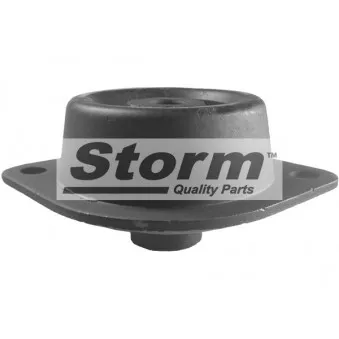 Support moteur Storm OEM 4406758