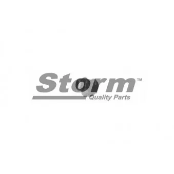 Suspension, stabilisateur Storm OEM 7700760265