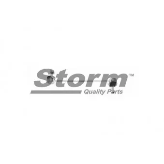 Entretoise/tige, stabilisateur Storm OEM 4367012
