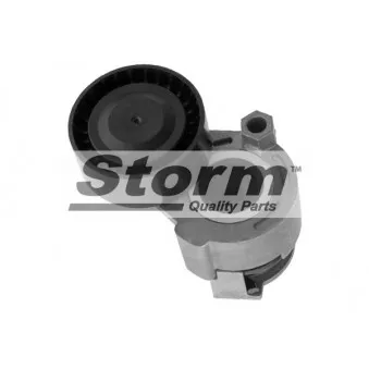 Poulie-tendeur, courroie trapézoïdale à nervures Storm OEM 8200608550