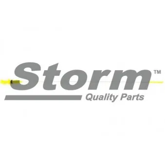 Jauge de niveau d'huile Storm OEM 117489