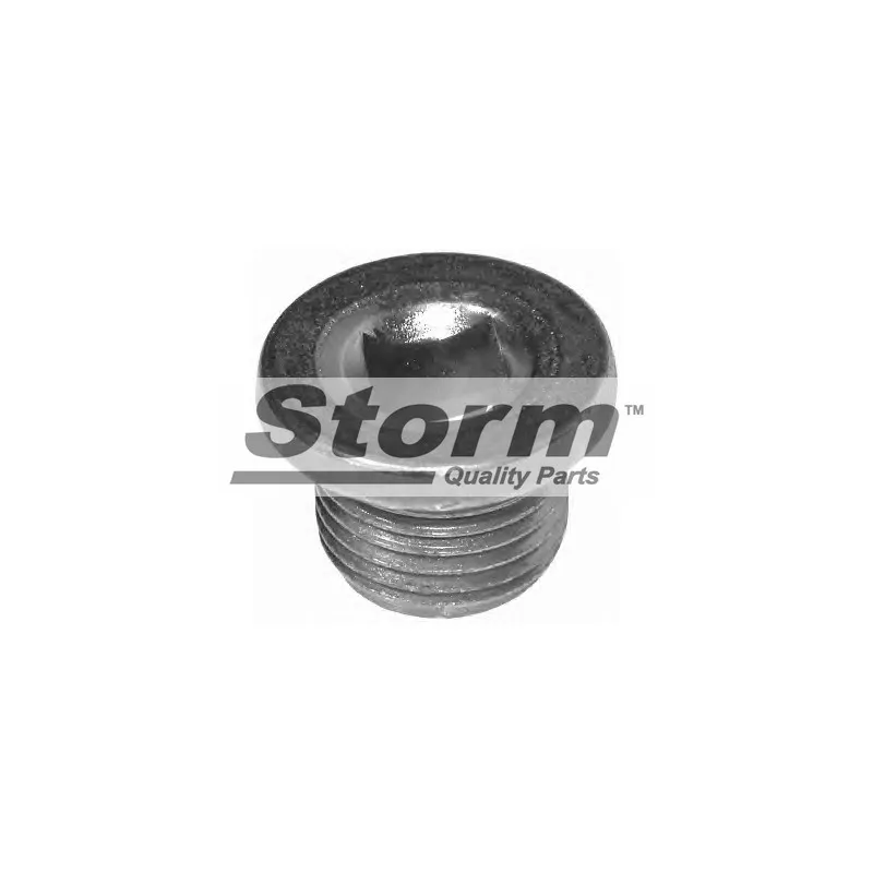 Vis-bouchon, carter d'huile Storm F10174 - Visuel 1