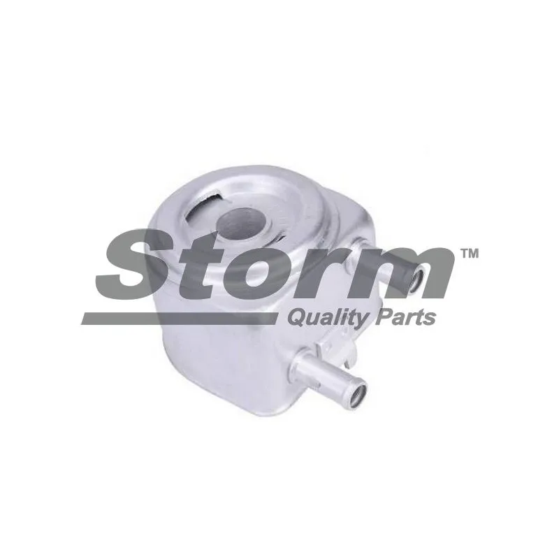 Radiateur d'huile Storm F10320 - Visuel 1