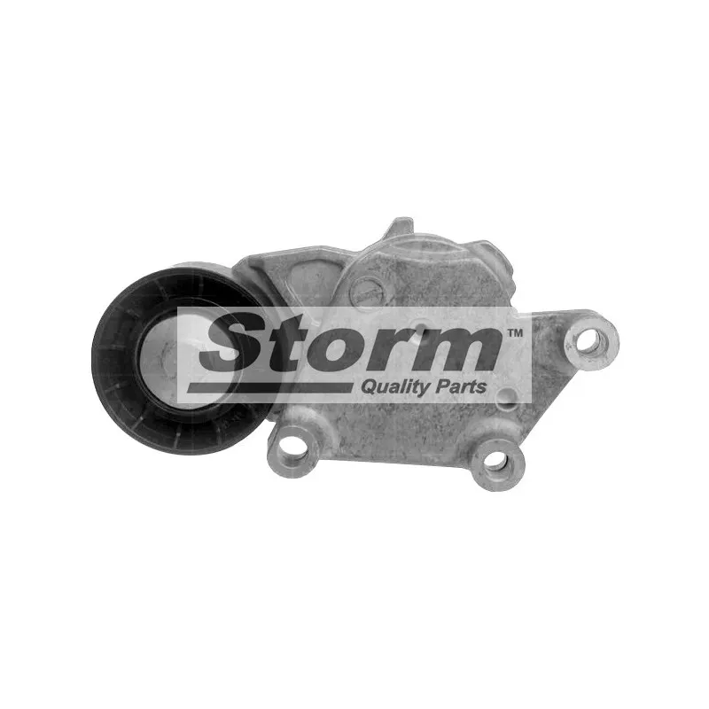 Poulie-tendeur, courroie trapézoïdale à nervures Storm F10337 - Visuel 1