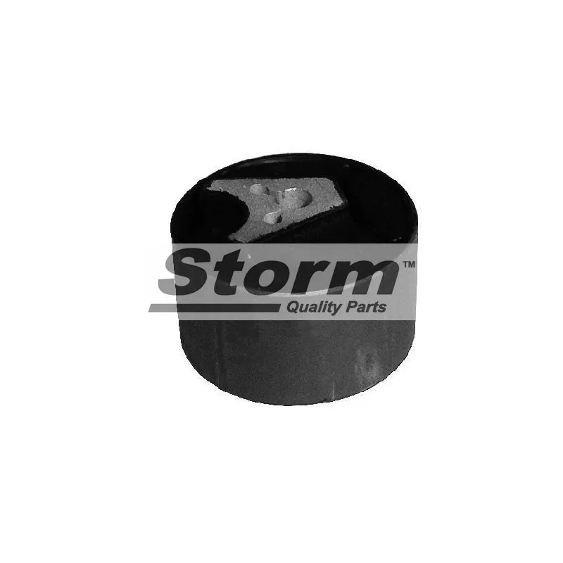 Support, suspension du moteur Storm F10536 - Visuel 1