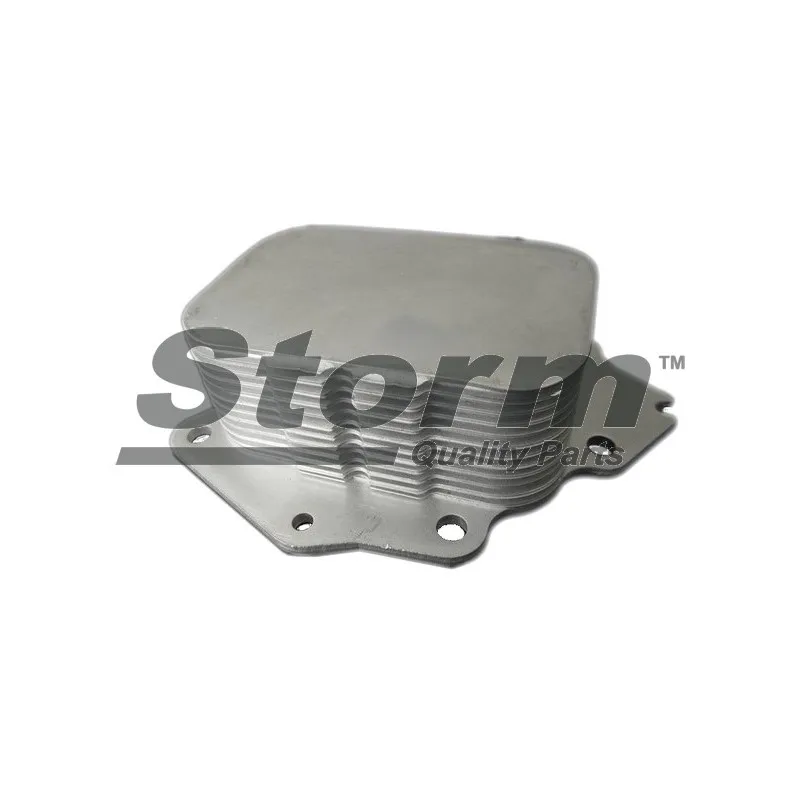 Radiateur d'huile Storm F10602 - Visuel 1