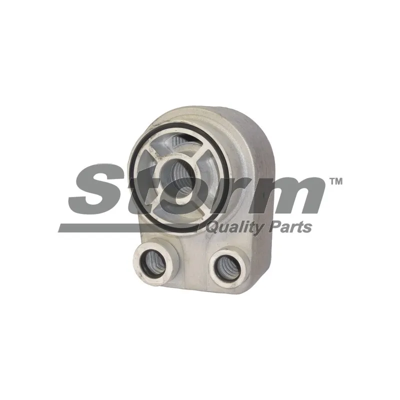 Radiateur d'huile Storm F10611 - Visuel 1