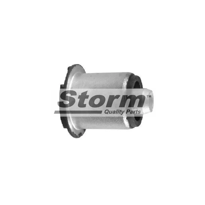 Bras oscillant de suspension Storm F10620 - Visuel 1