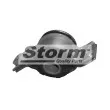 Storm F1073 - Silent bloc de suspension (train avant)