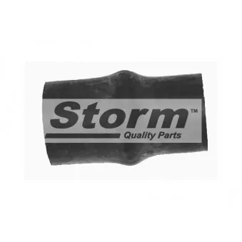 Storm F10968 - Durite de radiateur