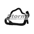 Storm F11318 - Durite de radiateur