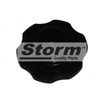 Bouchon, goulotte de remplissage d'huile Storm OEM 650089