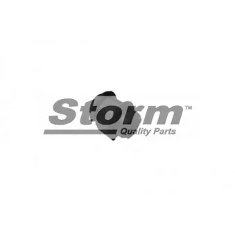 Storm F1196 - Suspension, stabilisateur