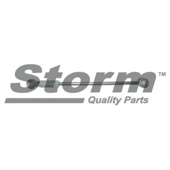 Kit de réparation, levier de changement de vitesse Storm OEM 2452E1