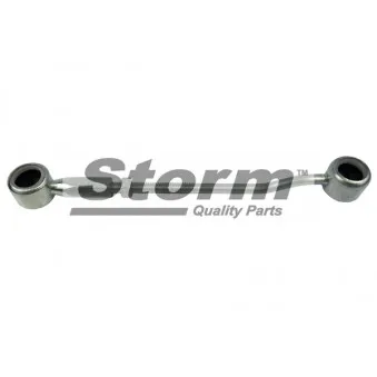 Levier de vitesse Storm OEM 244475