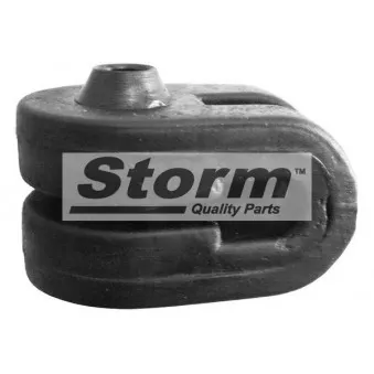 Bandes de caoutchouc, échappement Storm OEM 7700828897