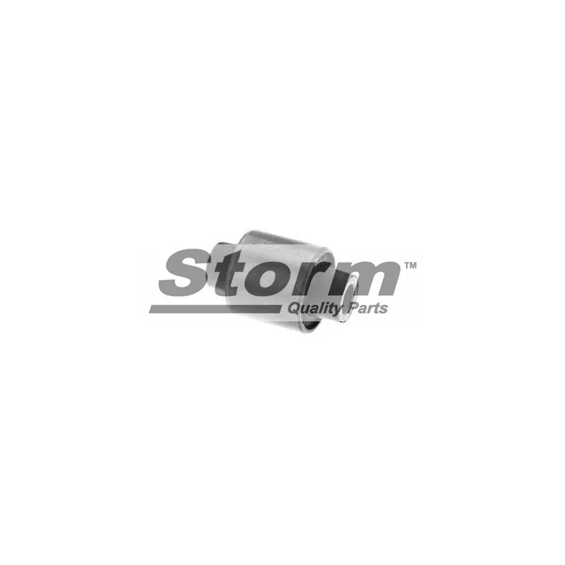 Support, suspension du moteur Storm F1901 - Visuel 1