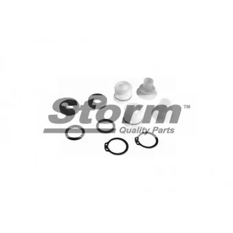 Kit de réparation, levier de changement de vitesse Storm OEM 736701