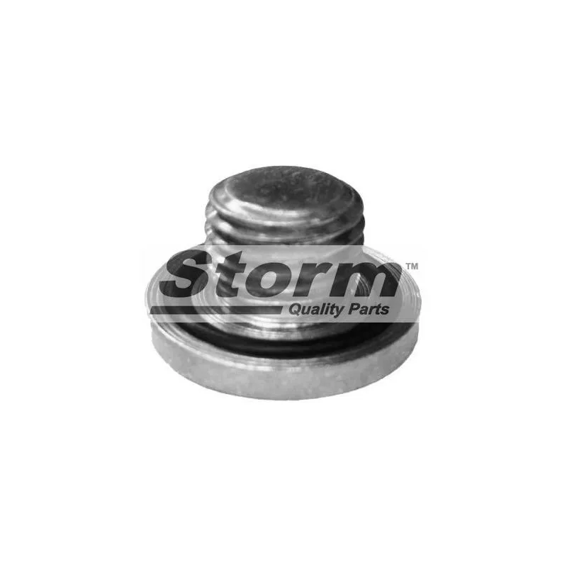 Vis-bouchon, carter d'huile Storm F1965 - Visuel 1