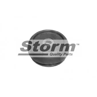 Coupelle de suspension Storm OEM 344513