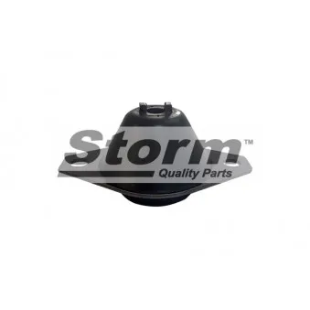 Storm F2004 - Suspension, boîte de vitesse manuelle