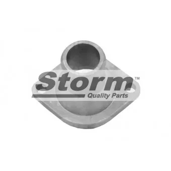 Bride de liquide de refroidissement Storm OEM 1002815