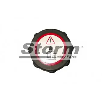 Bouchon, réservoir de liquide de refroidissement Storm OEM 93288274