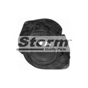 Storm F2451 - Suspension, stabilisateur