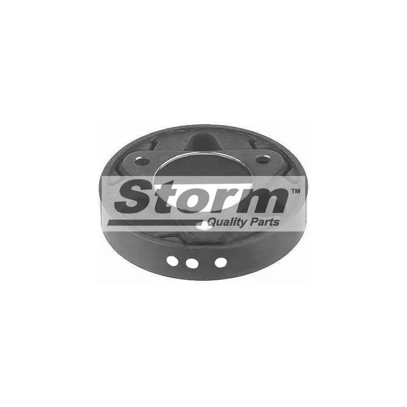 Joint, arbre longitudinal Storm F2481 - Visuel 1