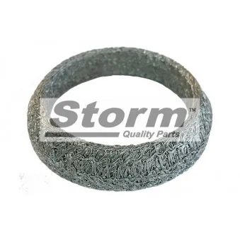 Joint d'étanchéité, tuyau d'échappement Storm OEM 8200035310