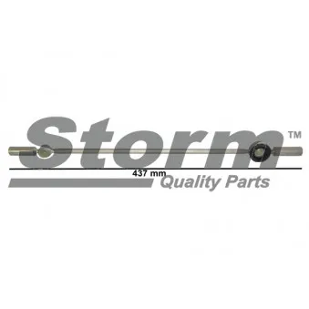 Kit de réparation, levier de changement de vitesse Storm OEM 245282