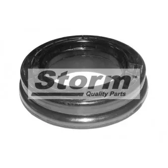 Storm F2589 - Roulement, coupelle de suspension