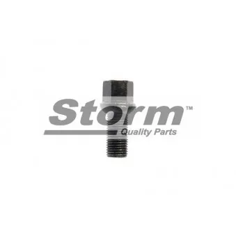 Vis de roue Storm OEM 8D0601139D