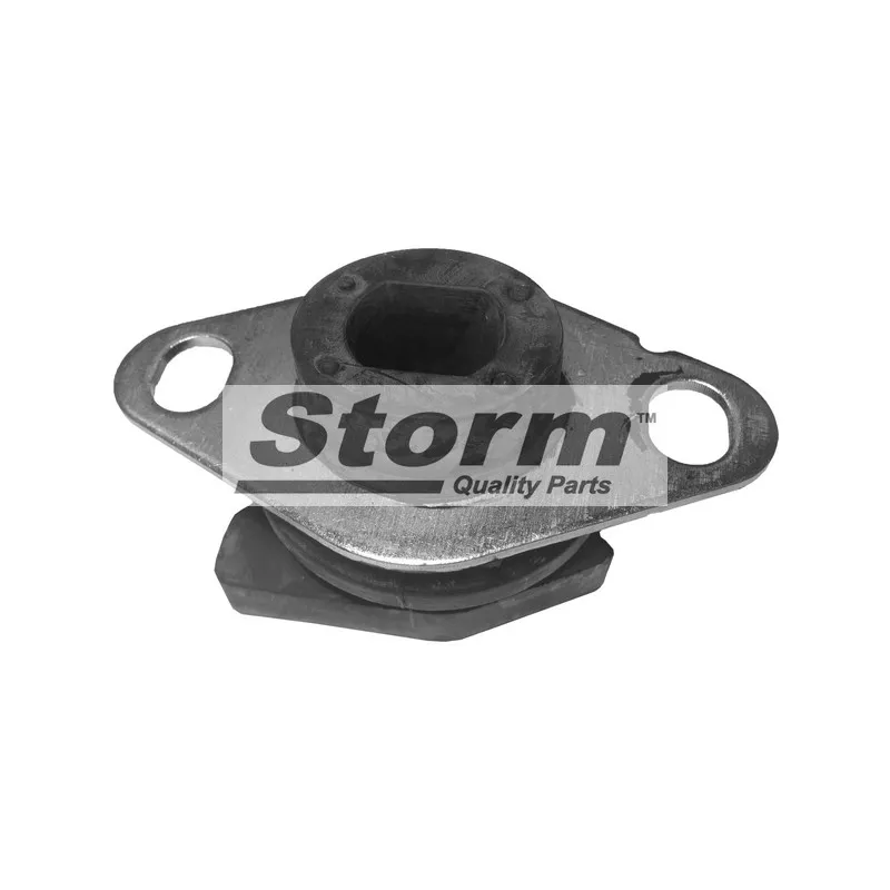 Suspension, boîte de vitesse manuelle Storm F2677 - Visuel 1