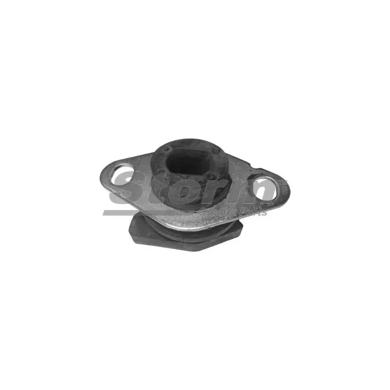 Suspension, boîte de vitesse manuelle Storm F2677 - Visuel 2