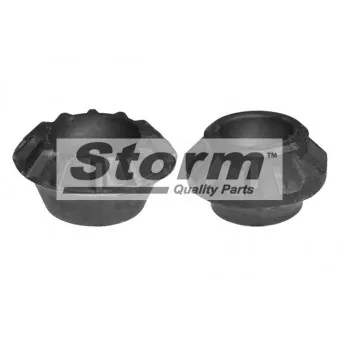 Coupelle de suspension Storm OEM 191512333