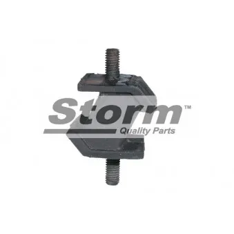 Suspension, boîte de vitesse manuelle Storm OEM 24701138428