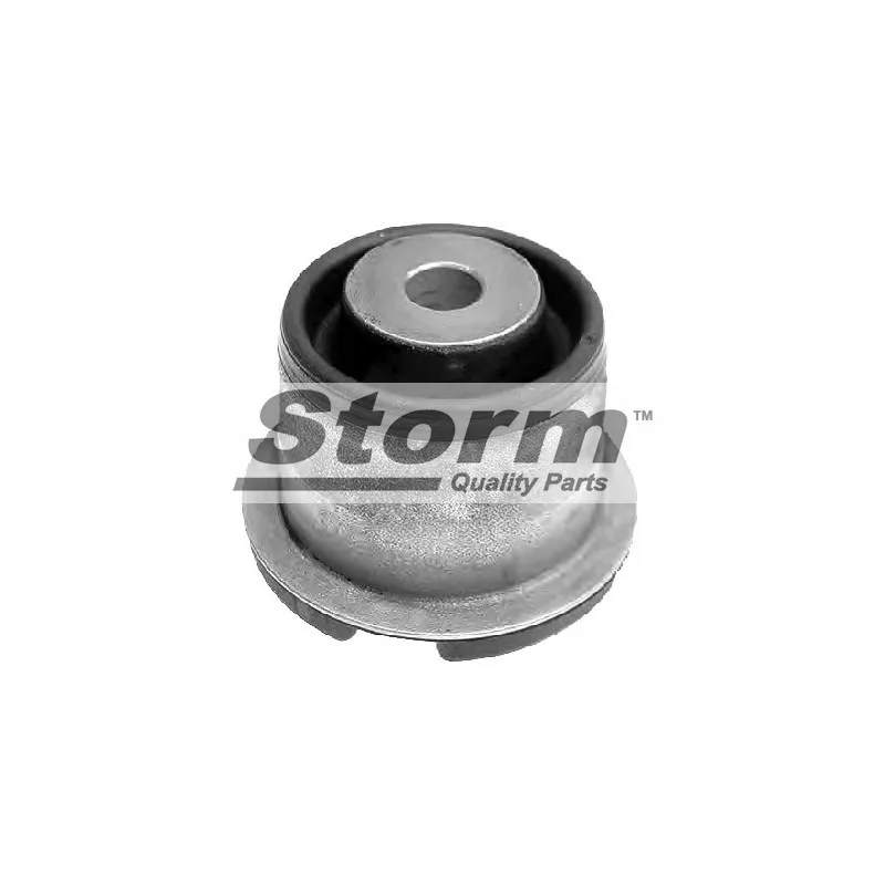Suspension, corps de l'essieu Storm F2792 - Visuel 1