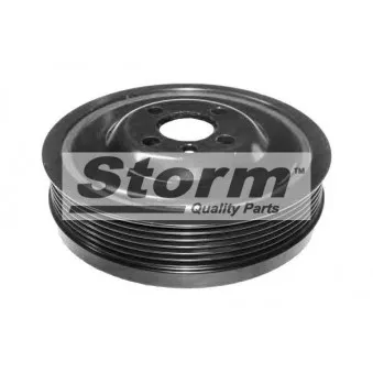 Poulie, vilebrequin Storm OEM 1315782