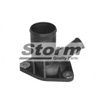 Bride de liquide de refroidissement Storm OEM 1336C9