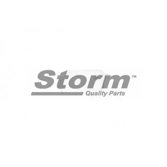 Storm F3576 - Vase d'expansion, liquide de refroidissement