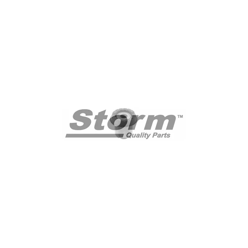 Suspension, support d'essieu Storm F4078 - Visuel 1