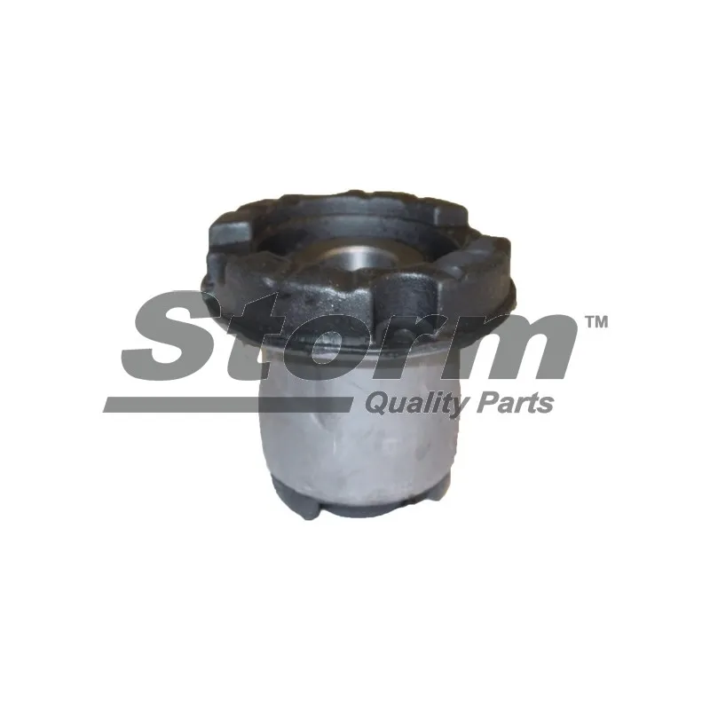 Suspension, corps de l'essieu Storm F4079 - Visuel 1