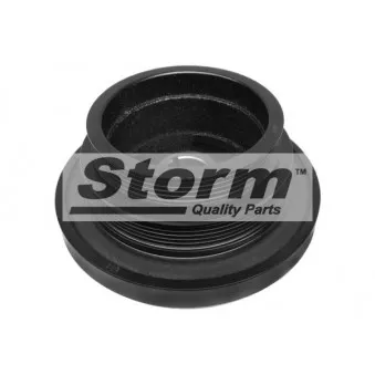 Poulie, vilebrequin Storm OEM 11231438995