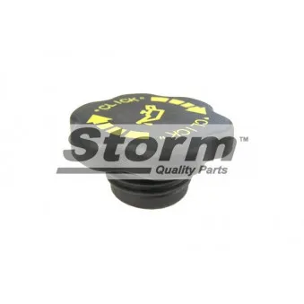 Bouchon, goulotte de remplissage d'huile Storm OEM 1018103