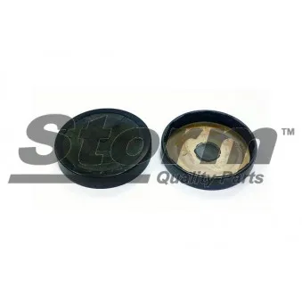 Bouchon, axe de culbuteurs-nez fileté Storm OEM 7700106271
