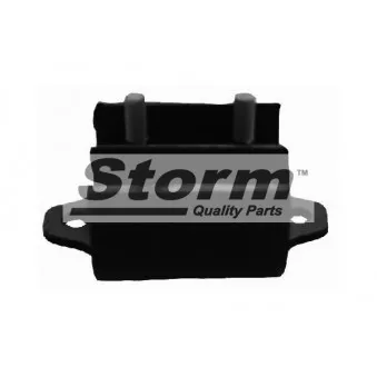 Suspension, boîte de vitesse manuelle Storm OEM 113200F001