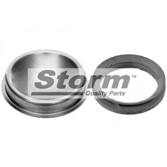 Couvercle de protection, moyeu de roue Storm OEM 374019