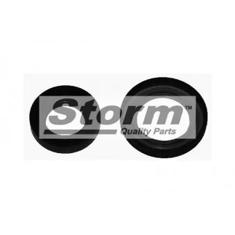 Storm F4761 - Bague d'étanchéité, flasque de boîte de vitesse manuelle